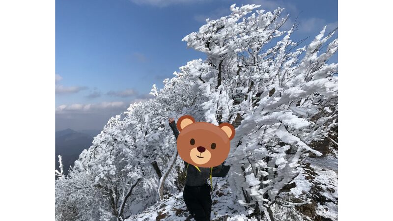 霧氷の一種、えびのしっぽの写真(奈良県の高見山)